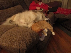 buddies.jpg