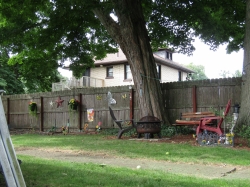 dig09.jpg