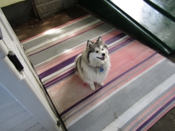 hatch08.jpg