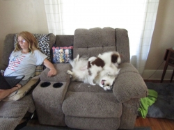 puppyjul09.jpg