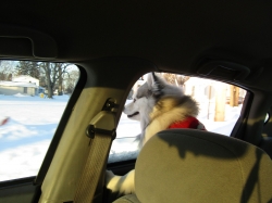 snowtrip05.jpg