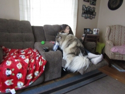 spoiled1.jpg