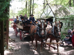 parade211119.jpg