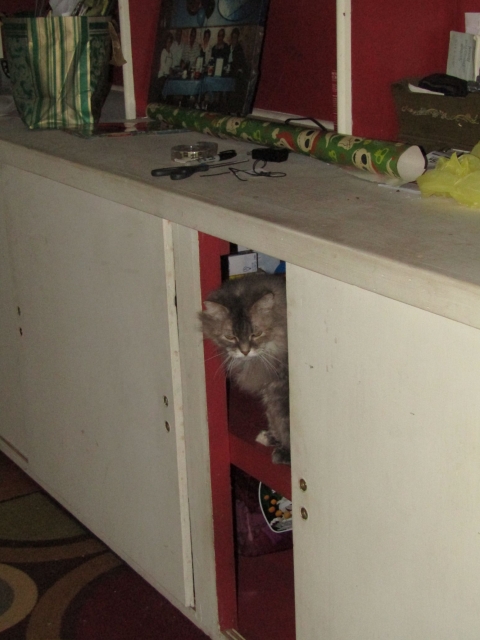 decpets02.jpg