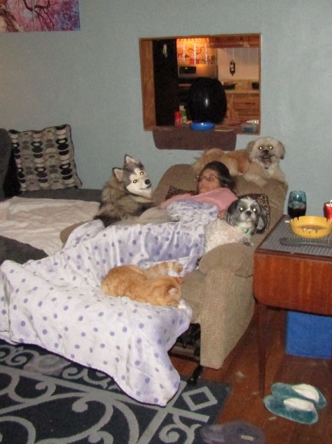 dogsit.jpg