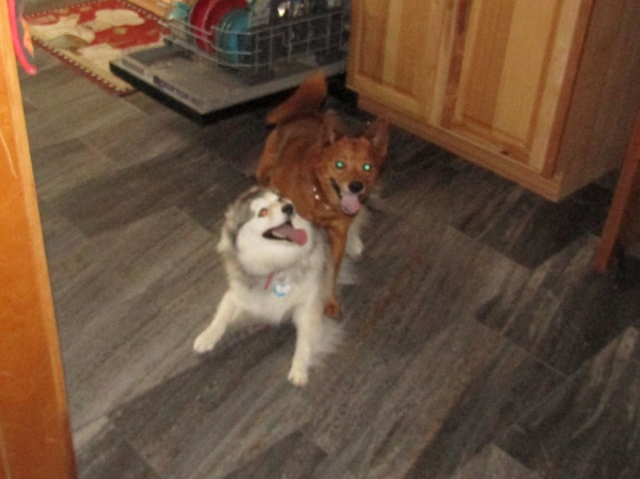 oddie1.jpg
