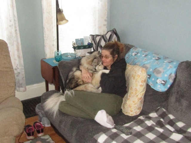pets210310.jpg