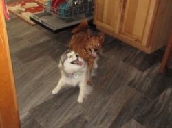 oddie1.jpg