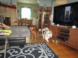 oddie3.jpg
