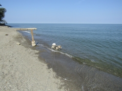pa15.jpg