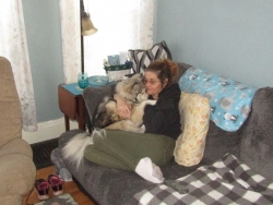 Filename=pets210310.jpg
Filesize=269KiB
Dimensions=1539x1158
Date added=Oct 31, 2025 pets210310.jpg