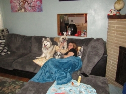 petsmay2105.jpg