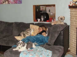 petsmay2106.jpg