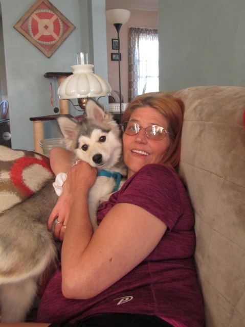 animals61208.jpg
