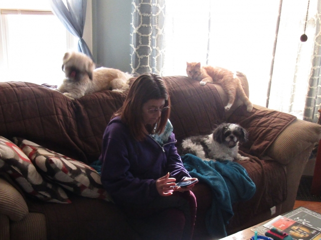 dogsit.jpg