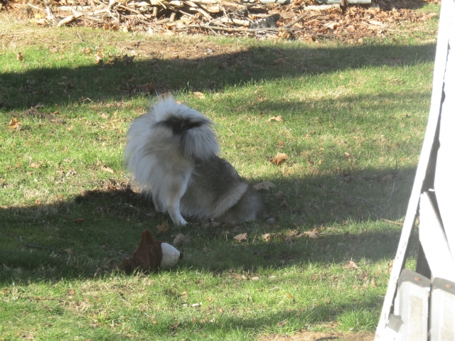 hole01.jpg