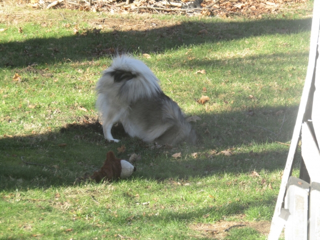 hole03.jpg