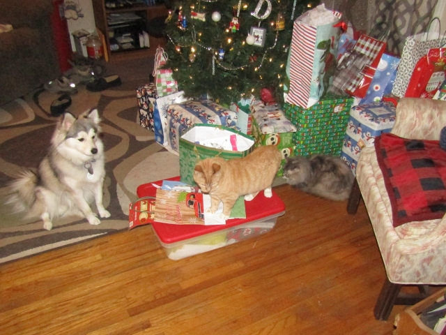 pets122001.jpg