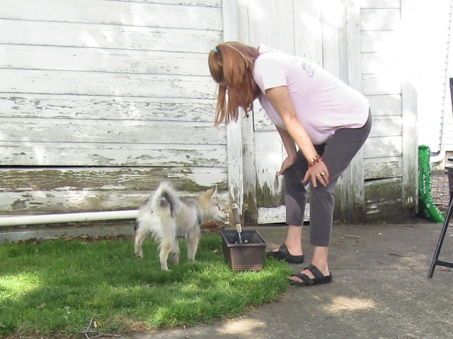 pets52406.jpg