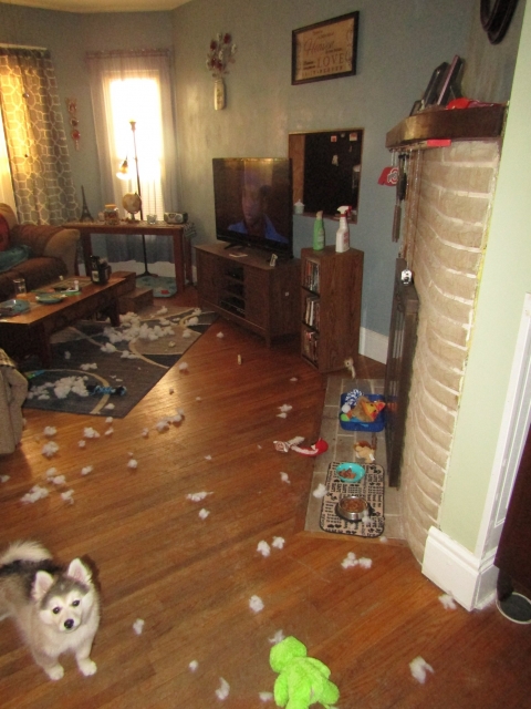 trashed.jpg