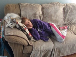 animals52503.jpg