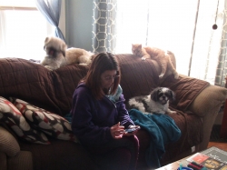 dogsit.jpg