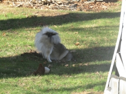 hole01.jpg