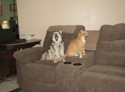 lazy2.jpg