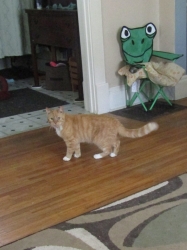 petsjune05.jpg