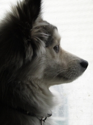 teddyportrait2.jpg