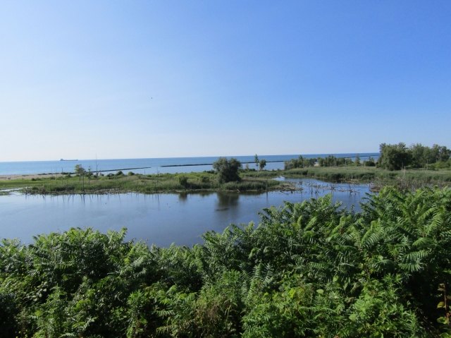 julylake06.jpg