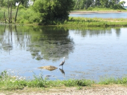 julylake02.jpg