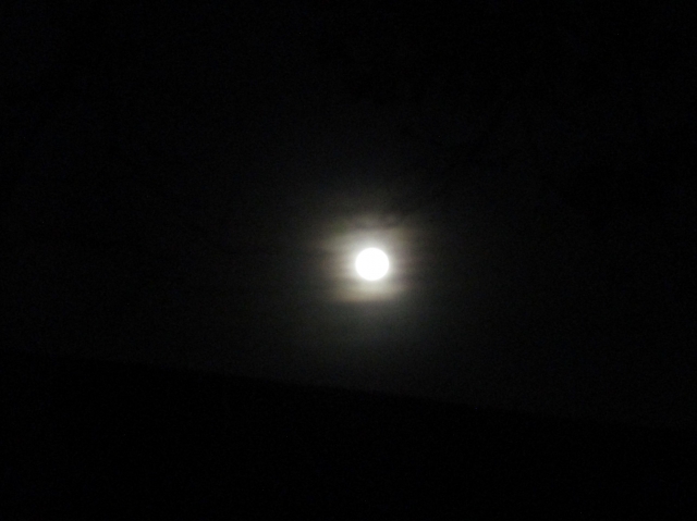 novmoon02.jpg