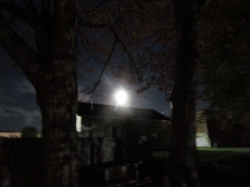 novmoon01.jpg