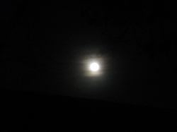 novmoon02.jpg