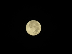 novmoon03.jpg