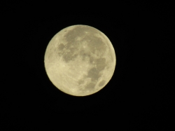 novmoon04.jpg