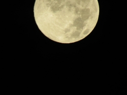 novmoon05.jpg
