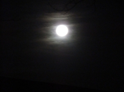 novmoon06.jpg