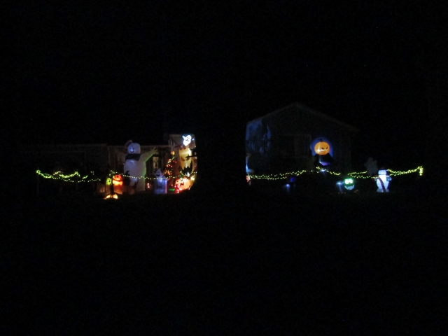 lights01.jpg