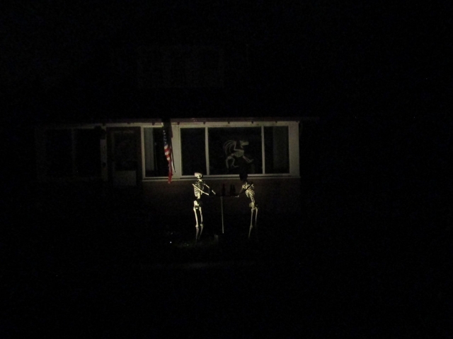lights03.jpg
