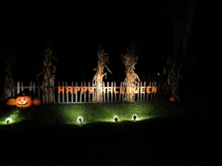 lights02.jpg