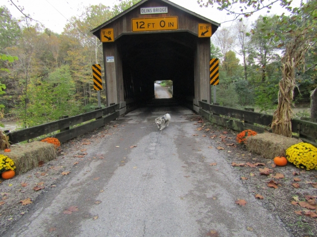 cb21010.jpg