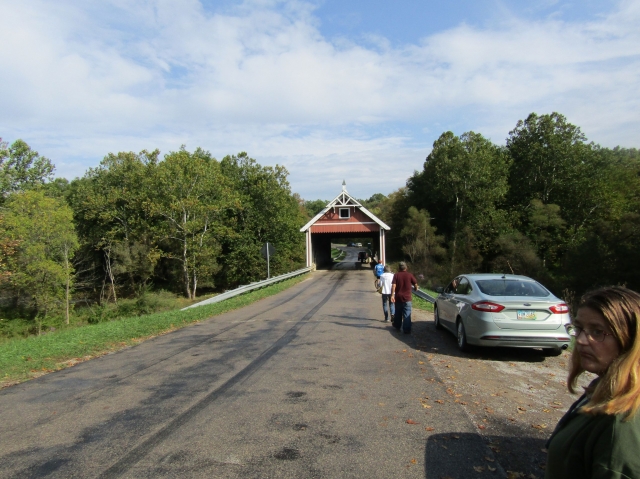 cb21051.jpg