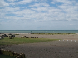 dday17064.jpg
