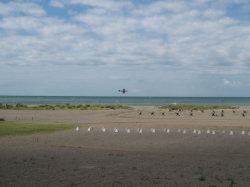 dday17065.jpg