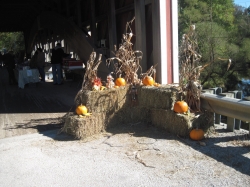 coveredbridge014.jpg