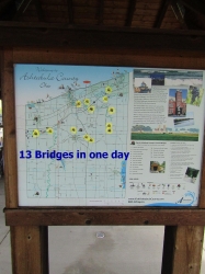 covered19.jpg