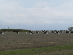 dday19019.jpg