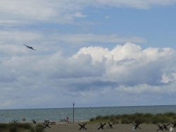 dday19070.jpg